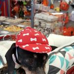 Petco