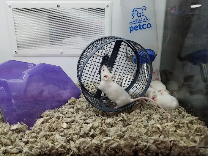 Petco Picture 9