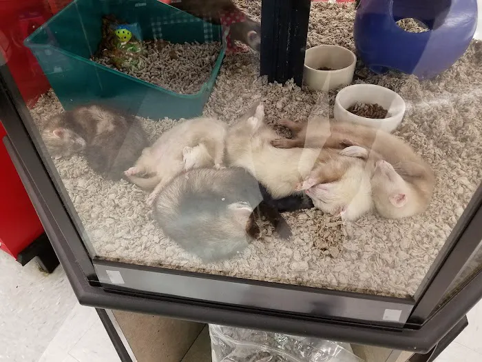 Petco Picture 8