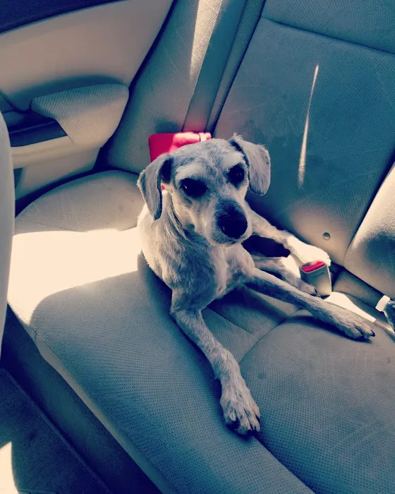 Petco Picture 5