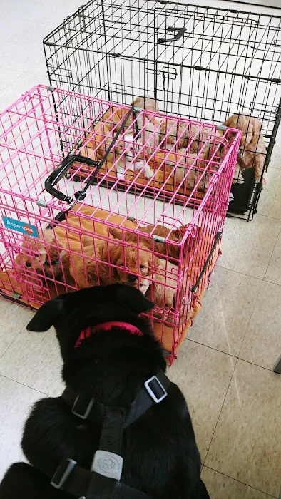 Berlin Township Animal Hospital Picture 8