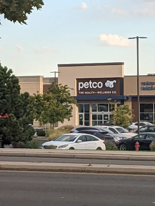 Petco Picture 2