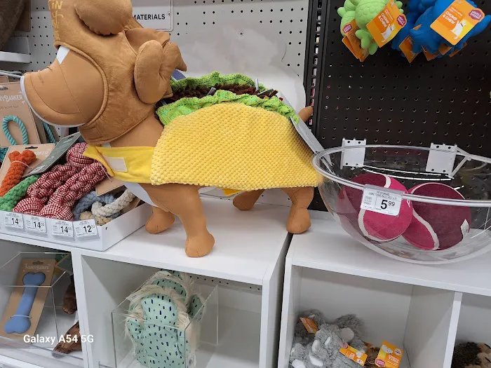 Petco Picture 4