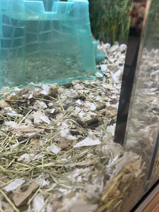 Petco Picture 7