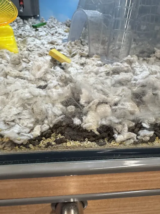 Petco Picture 6