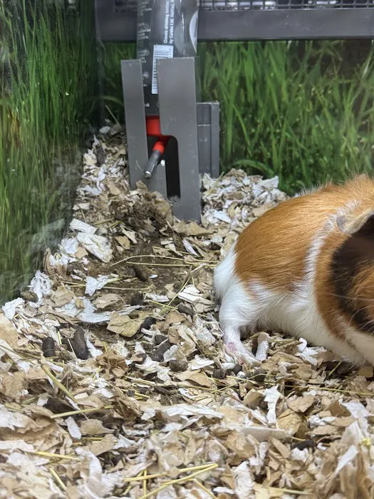 Petco Picture 9
