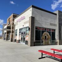 The Puppy Store Vineyard ico