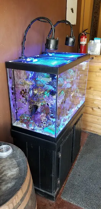 Aquatic Evolution LLC Picture 1