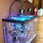 Aquatic Evolution LLC