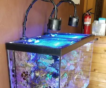 Aquatic Evolution LLC