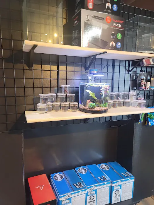 Aquatic Evolution LLC Picture 8