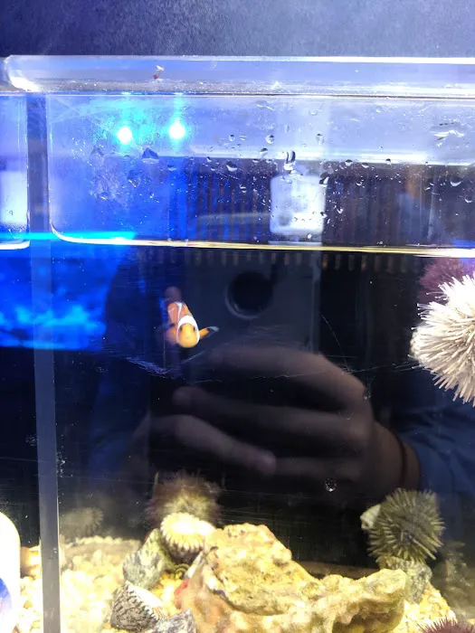 Aquatic Evolution LLC Picture 6