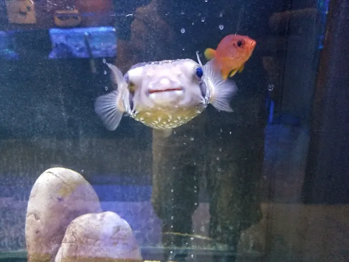 Aquatic Evolution LLC Picture 5