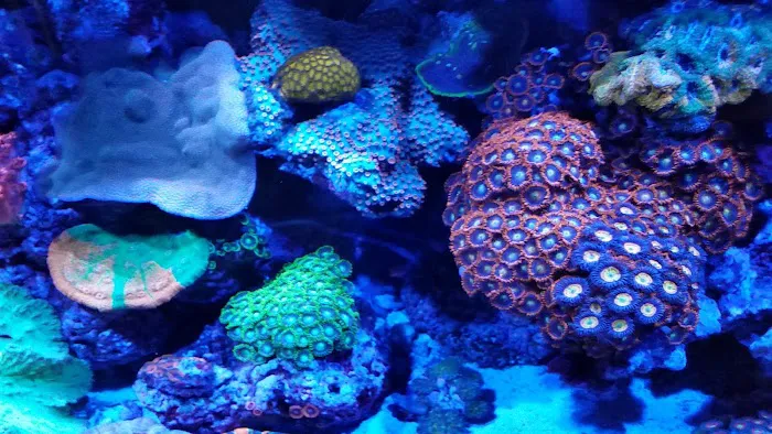 Aquatic Evolution LLC Picture 2