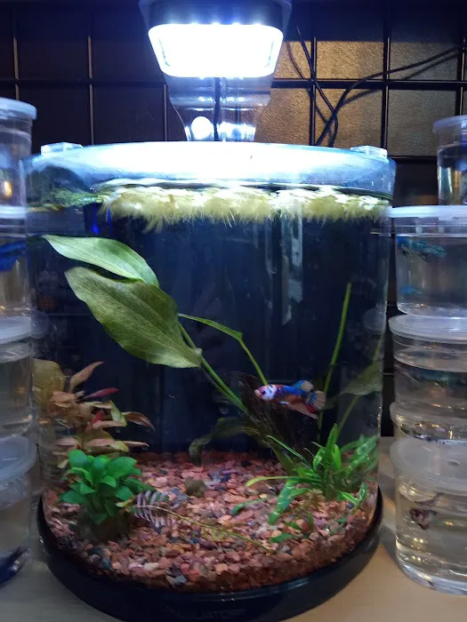 Aquatic Evolution LLC Picture 9