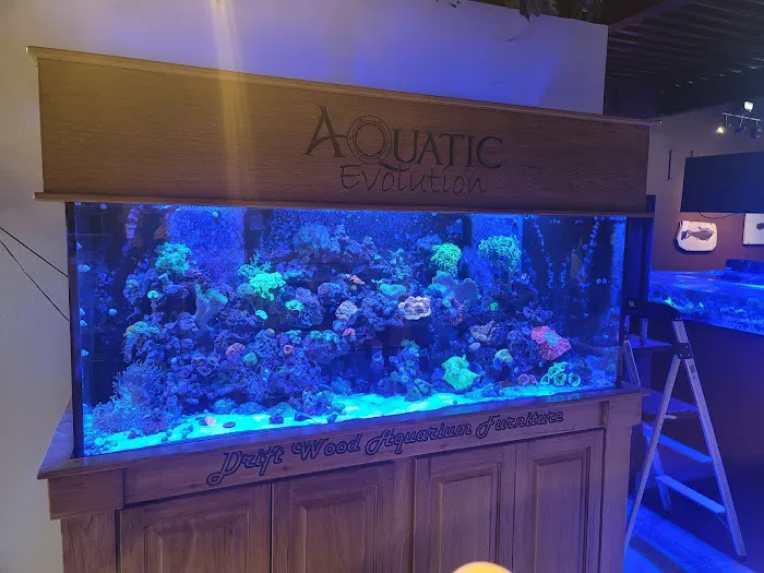 Aquatic Evolution LLC Picture 7