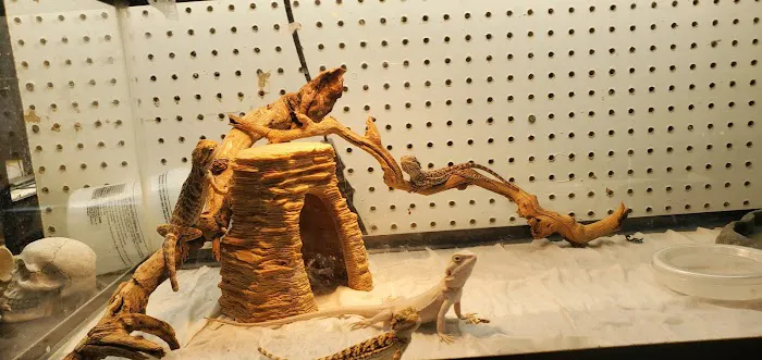 Animal Ark Orem Picture 2