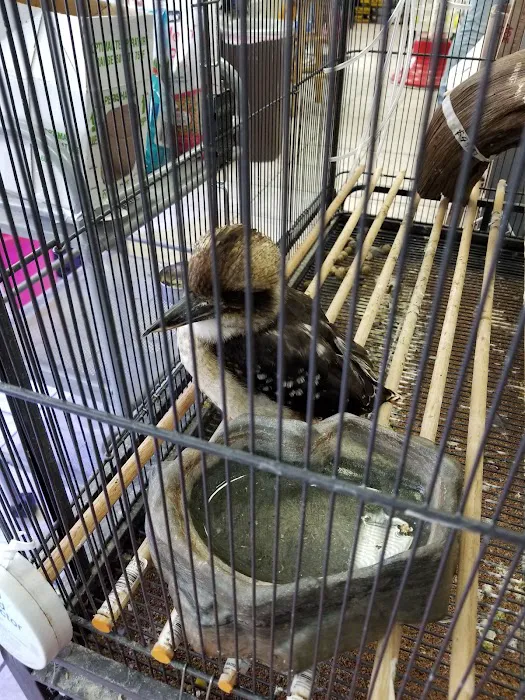 Animal Ark Orem Picture 7