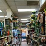 Animal Ark Orem