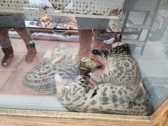 Animal Ark Orem Picture 9