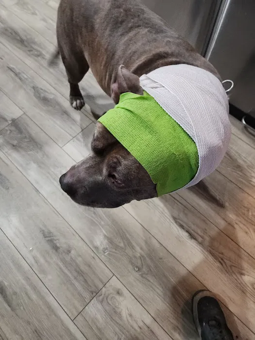 Voorhees Veterinary Center Picture 10