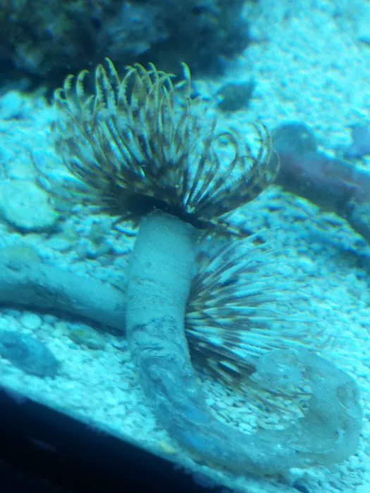 A Reef Oasis Picture 4