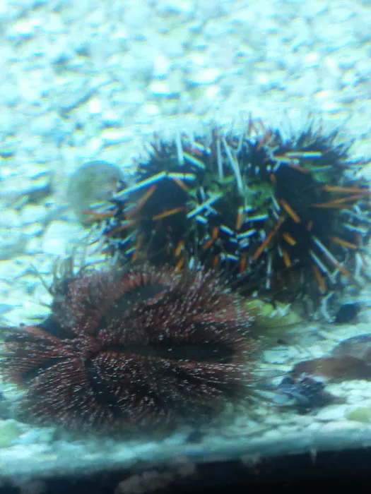 A Reef Oasis Picture 3
