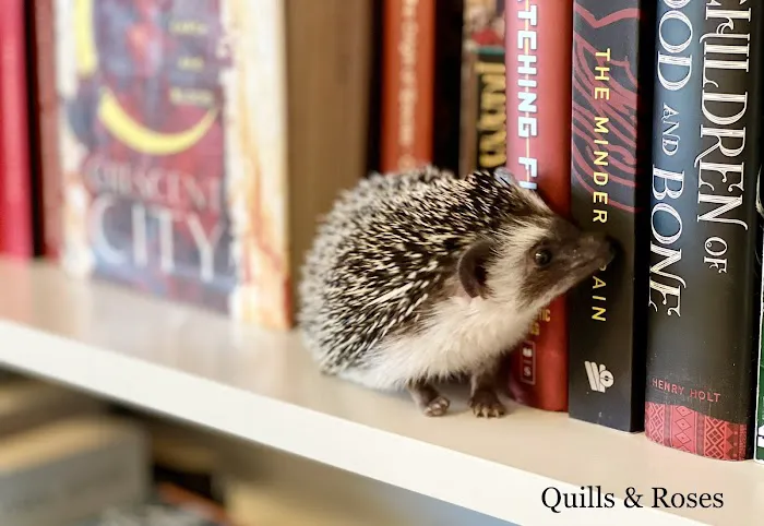 Quills and Roses Picture 3