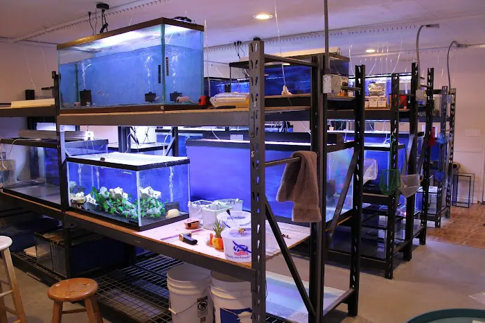 Allred Aquatics Picture 2