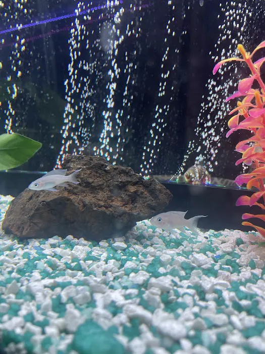 Allred Aquatics Picture 1