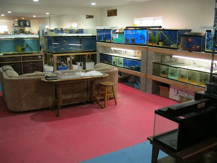 Allred Aquatics Picture 5