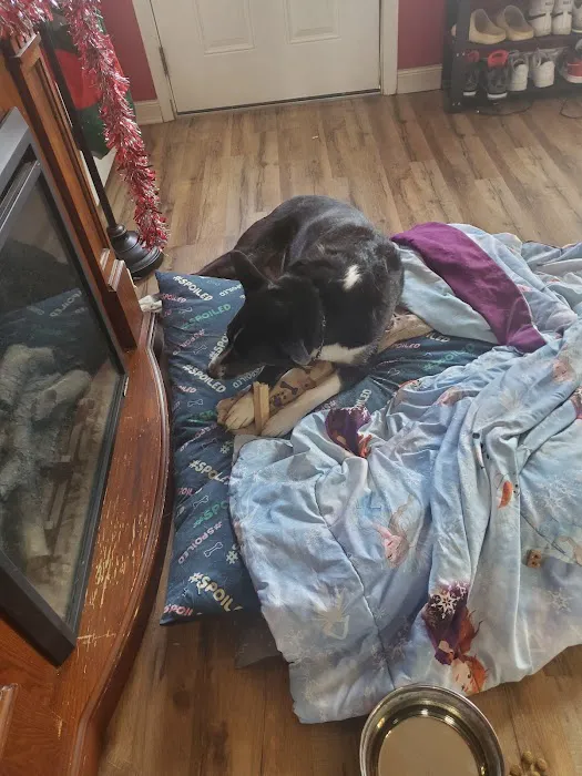 East Wind Animal Hospital Picture 1