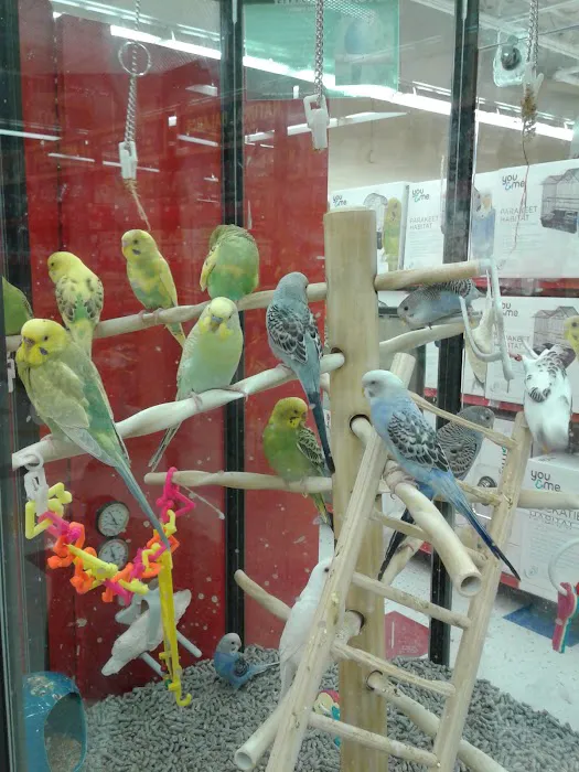 Petco Picture 10