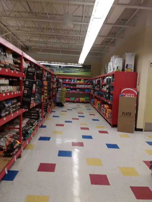 Petco Picture 5