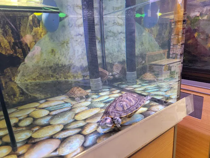 Petco Picture 9