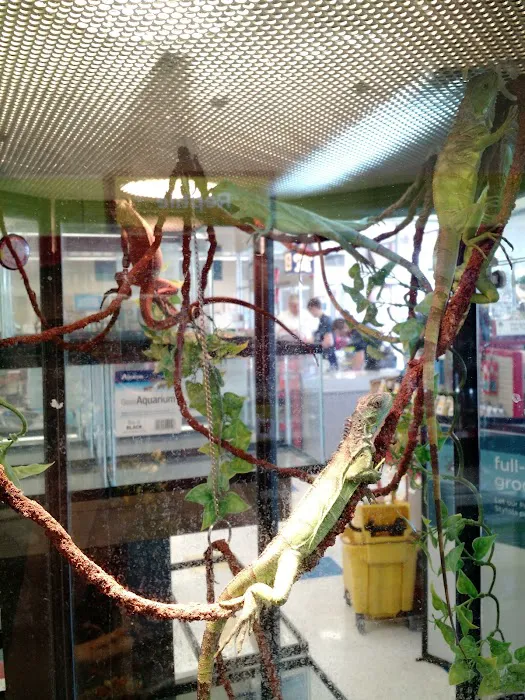 Petco Picture 8