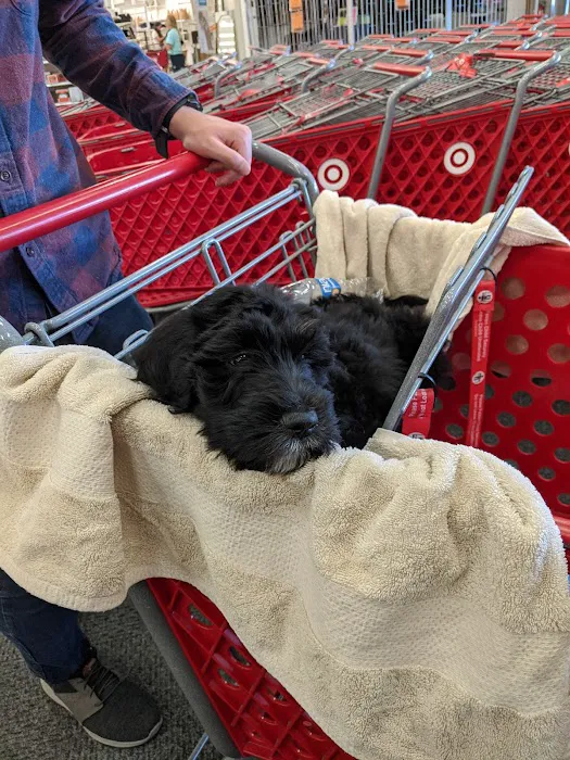 Petco Picture 7