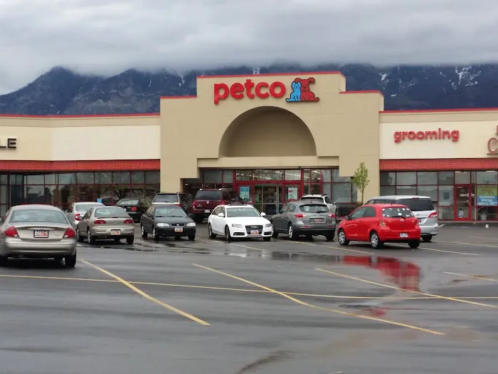 Petco Picture 4