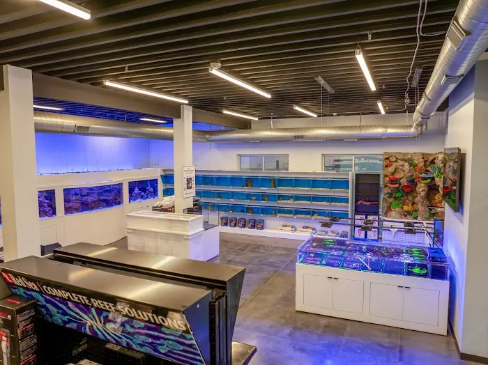 Aquatic Dreams NSL Picture 2