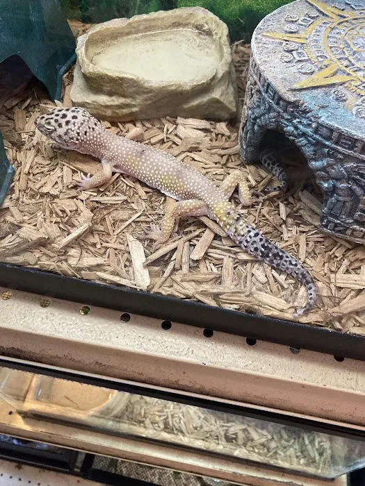 Jay's Jungle Picture 9