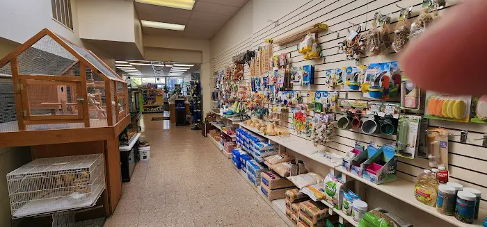 Jay's Jungle Picture 5