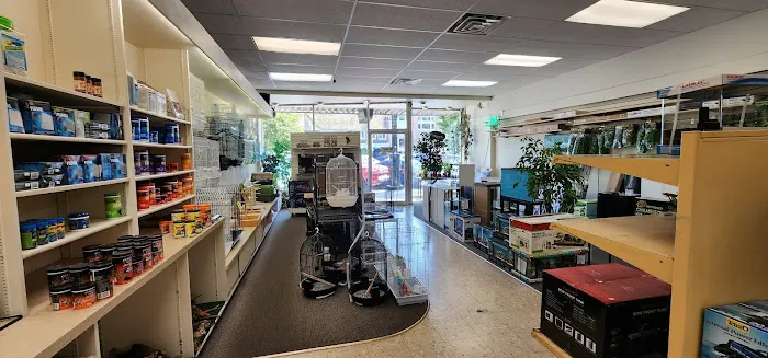 Jay's Jungle Picture 6