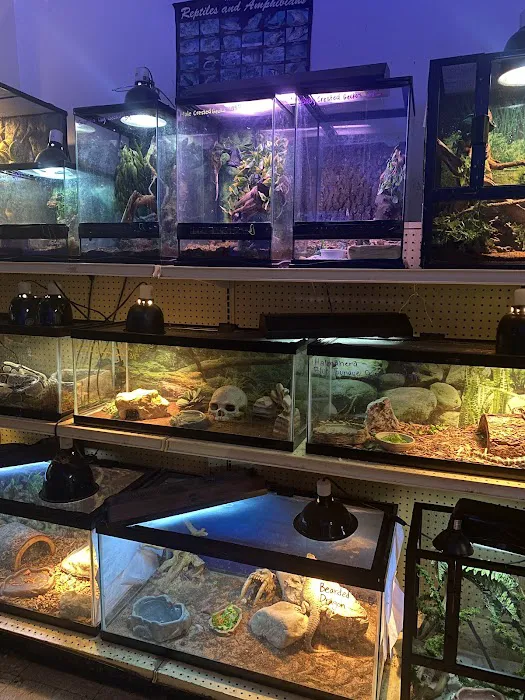 Jay's Jungle Picture 4