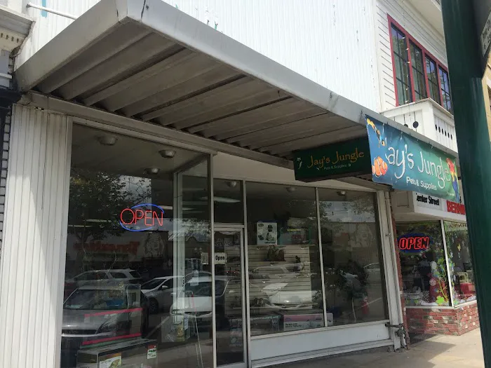 Jay's Jungle Picture 1