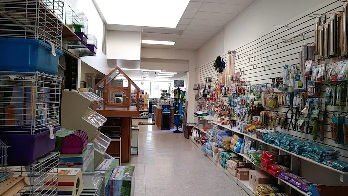 Jay's Jungle Picture 8