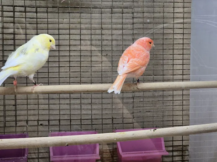 Jay's Jungle Picture 2