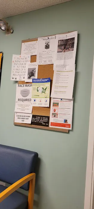 Huntingdon Valley Veterinary Hospital Picture 2