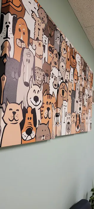 Huntingdon Valley Veterinary Hospital Picture 3