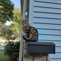 Huntingdon Valley Veterinary Hospital ico