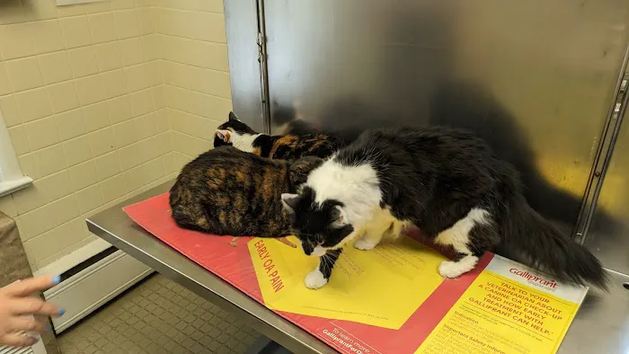Hopewell Veterinary Hospital Picture 2